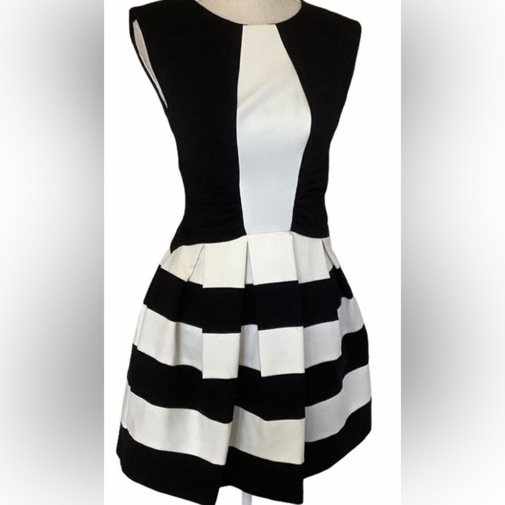 Black and White Striped Dress